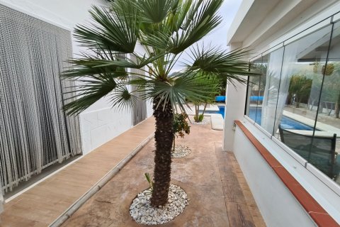 Villa à vendre à Aspe, Alicante, Espagne, 2 chambres, 71 m2 No. 147321 - photo 28