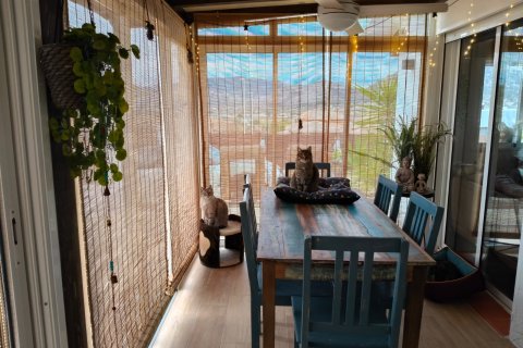 Villa à vendre à Aspe, Alicante, Espagne, 2 chambres, 71 m2 No. 147321 - photo 3