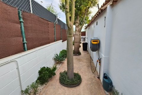 Villa à vendre à Aspe, Alicante, Espagne, 2 chambres, 71 m2 No. 147321 - photo 27