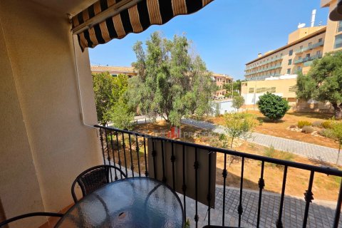 Apartamento en venta en Los Alcázares, Murcia, España 2 dormitorios, No. 193420 - foto 15