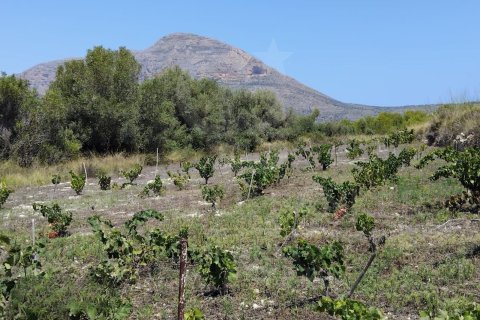 Tontti Javea, Alicante, Espanja 14309 m2 No. 158258
