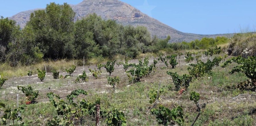 Land plot à Javea, Alicante, Espagne 14309 m2 No. 158258