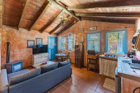 Продажа коммерческой недвижимости в Сан-Мигель-де-Абона, Тенерифе, Испания 13 спален, 893м2 №168291 - фото 14
