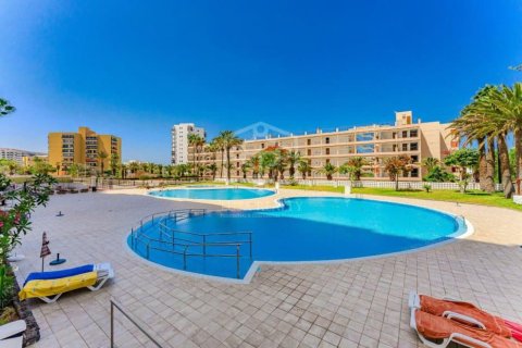 Продажа коммерческой недвижимости в Арона, Тенерифе, Испания 110м2 №168292 - фото 7