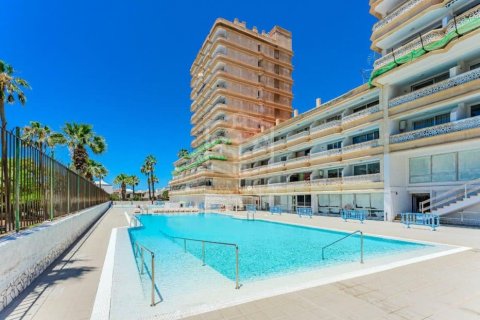Продажа коммерческой недвижимости в Арона, Тенерифе, Испания 110м2 №168292 - фото 14