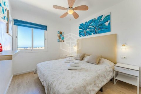 Продажа коммерческой недвижимости в Арона, Тенерифе, Испания 110м2 №168292 - фото 11