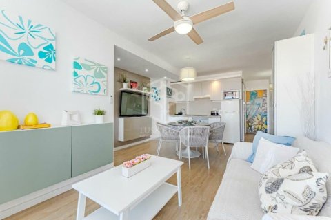 Продажа коммерческой недвижимости в Арона, Тенерифе, Испания 110м2 №168292 - фото 9