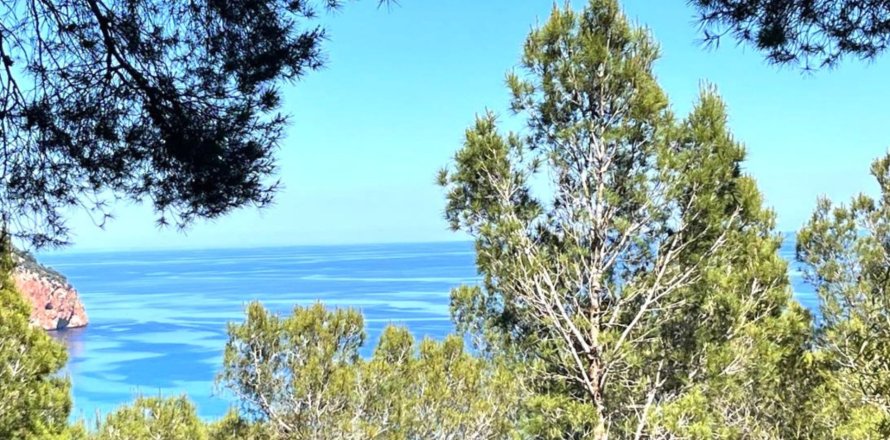 Tontti Canyamel, Mallorca, Espanja 1255 m2 No. 168296