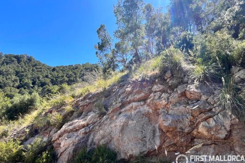 Tontti myytävänä Canyamel, Mallorca, Espanja , 1255 m2 No. 168296 - kuva 2