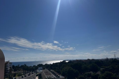 Huoneisto myytävänä Punta Prima, Alicante, Espanja, 2 makuuhuonetta, 156 m2 No. 190241 - kuva 25