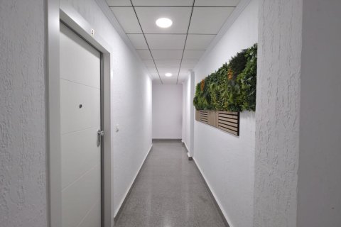 Wohnung zum Verkauf in Torrevieja, Alicante, Spanien 3 Schlafzimmer, 79 m2 Nr. 190247 - Foto 4