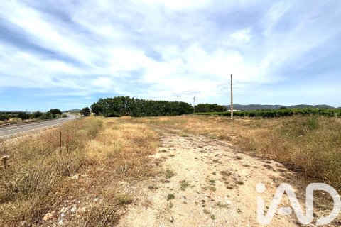 Propiedad comercial en venta en Banyeres Del Penedes, Tarragona, España No. 188372 - foto 4