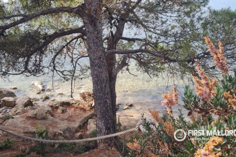 Appartamento in affitto a Port D'andratx, Mallorca, Spagna 3 camere da letto, 95 mq. N° 190828 - foto 12