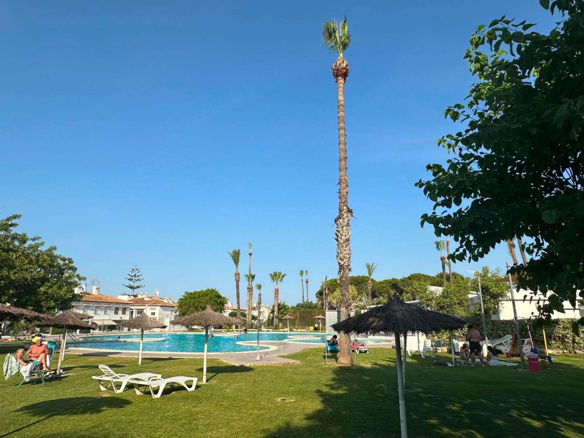Apartament w Torrevieja, Alicante, Hiszpania 1 sypialnia, 50 mkw. nr 183094