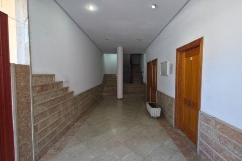 Продажа квартиры в Торревьеха, Аликанте, Испания 1 спальня, 55м2 №183093 - фото 2