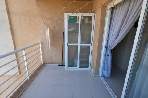 Продажа квартиры в Торревьеха, Аликанте, Испания 1 спальня, 55м2 №183093 - фото 12