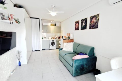 Appartamento a Torrevieja, Alicante, Spagna 24 mq. N° 183095