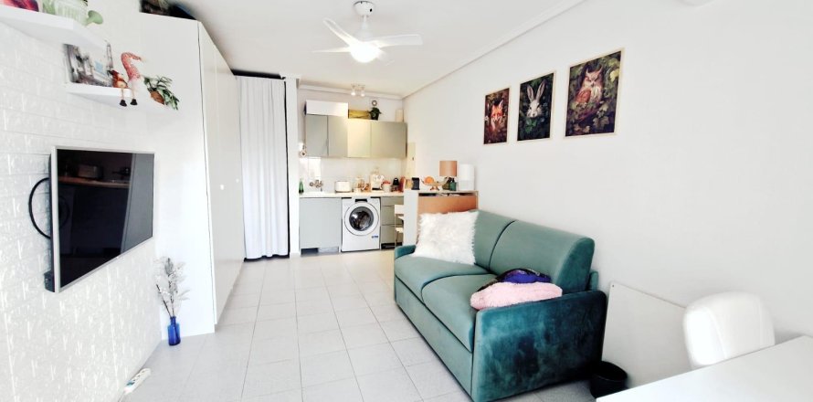 Appartamento a Torrevieja, Alicante, Spagna 24 mq. N° 183095