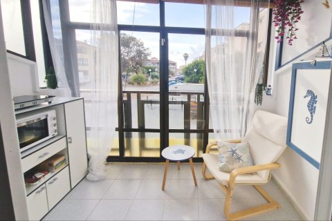 Appartamento in vendita a Torrevieja, Alicante, Spagna 24 mq. N° 183095 - foto 12