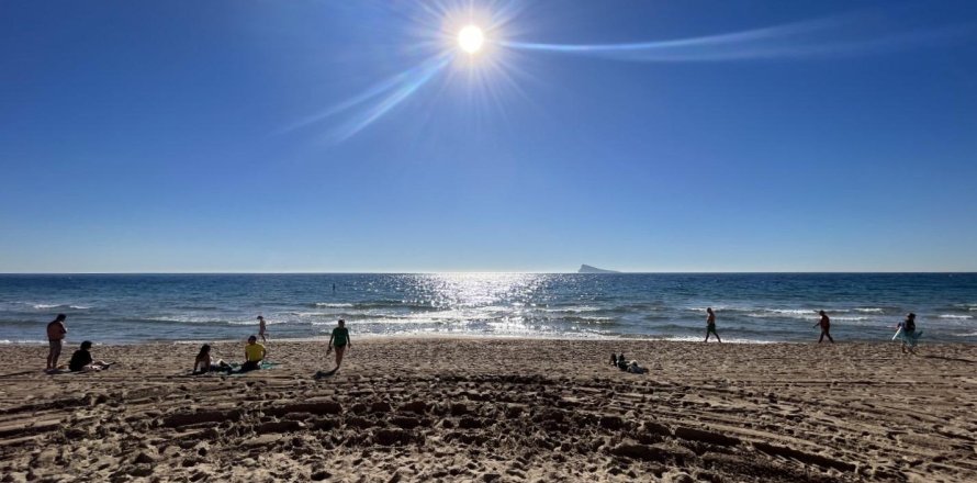 Kommersiell fastighet i Benidorm, Alicante, Spanien 347 kvm. Nr. 165310