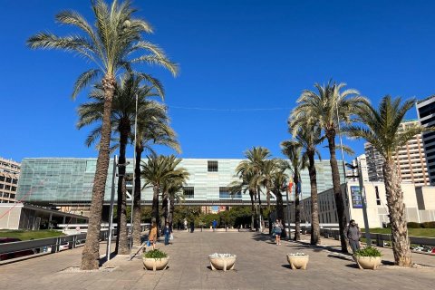 Kommersiell fastighet till salu i Benidorm, Alicante, Spanien 347 kvm. Nr. 165310 - foto 21