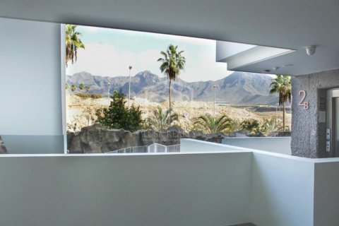 Apartamento en venta en Adeje, Tenerife, España 2 dormitorios, 186 m2 No. 177894 - foto 12