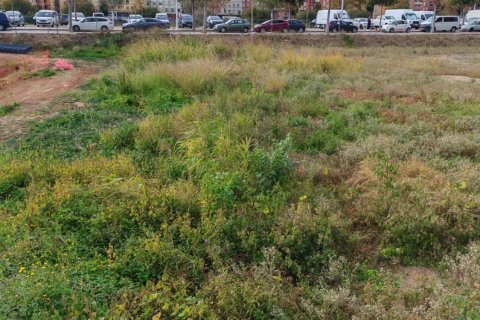 Land plot à vendre à Sagunto, Valencia, Espagne, 643 m2 No. 173262 - photo 2