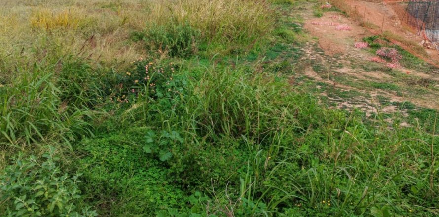 Land plot à Sagunto, Valencia, Espagne 643 m2 No. 173262
