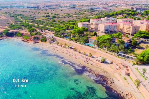 Kaupunkipientalo myytävänä Punta Prima, Alicante, Espanja, 2 makuuhuonetta, 95 m2 No. 140608 - kuva 21