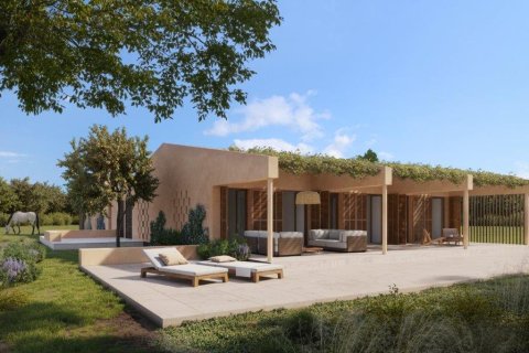 Land plot for sale in Porreres, Mallorca, Spain 50265 sq.m. No. 140605 - photo 9