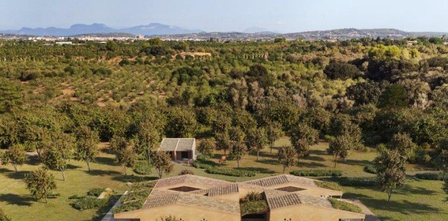 Land plot in Porreres, Mallorca, Spain 50265 sq.m. No. 140605