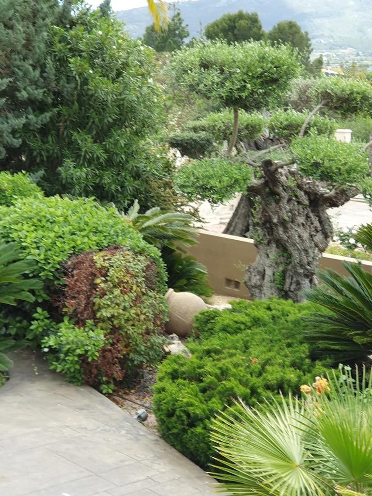 Finca en Jalon, Alicante, España 8 dormitorios, 300 m2 No. 95693