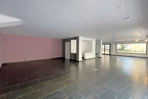 Commercial property for sale Port D'andratx, Mallorca, Spain 150 sq.m. No. 111950 - photo 3