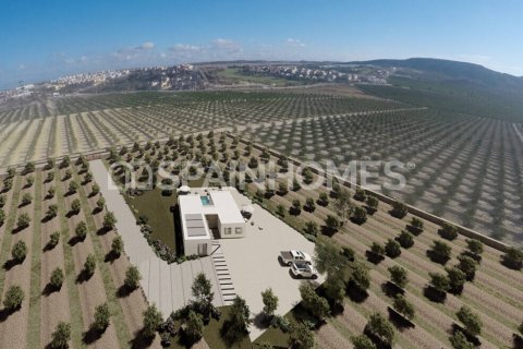 Villa in vendita a Algorfa, Alicante, Spagna 5 camere da letto, 381 mq. N° 147510 - foto 12