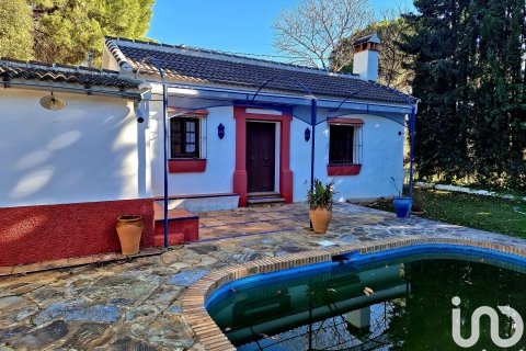 Māja pārdošanā Constantina, Seville, Spānijā 3 istabas, 150 m2 Nr. 153879 - attēls 6