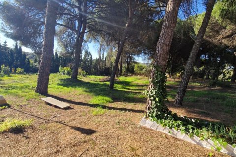 Māja pārdošanā Constantina, Seville, Spānijā 3 istabas, 150 m2 Nr. 153879 - attēls 5