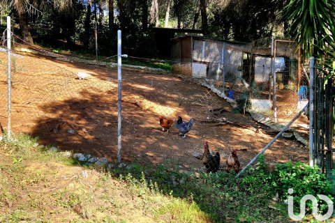 Māja pārdošanā Constantina, Seville, Spānijā 3 istabas, 150 m2 Nr. 153879 - attēls 13