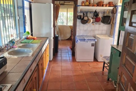 Māja pārdošanā Constantina, Seville, Spānijā 3 istabas, 150 m2 Nr. 153879 - attēls 15