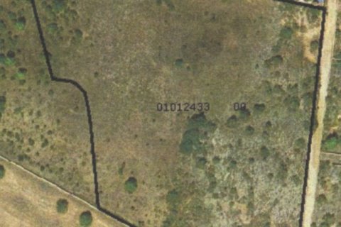 Terreno in vendita a Sant Francesc De Formentera, Formentera, Spagna 21000 mq. N° 153878 - foto 2