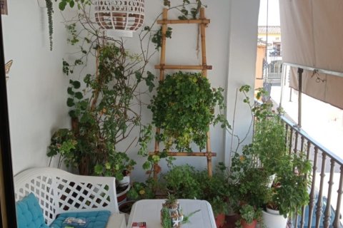 Продажа коммерческой недвижимости в Каньяда Росаль, Севилья, Испания 332м2 №153876 - фото 13