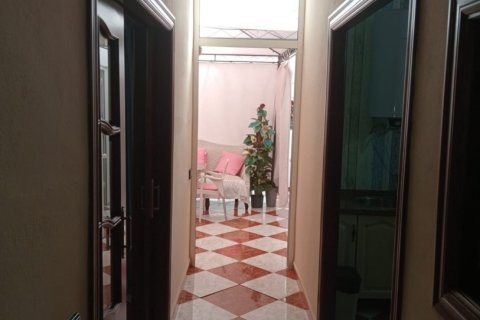 Продажа коммерческой недвижимости в Каньяда Росаль, Севилья, Испания 332м2 №153876 - фото 20