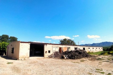 Продажа дома в Бенисанет, Таррагона, Испания 5 спален, 1172м2 №153880 - фото 27