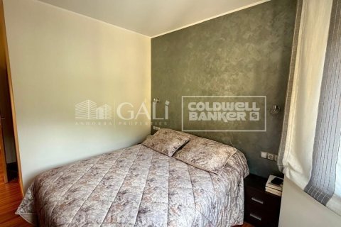 Apartment à vendre à Principado De Andorra (Ninguna Poblacion Tiene C.P.), Lleida, Espagne, 3 chambres, 80 m2 No. 178654 - photo 7