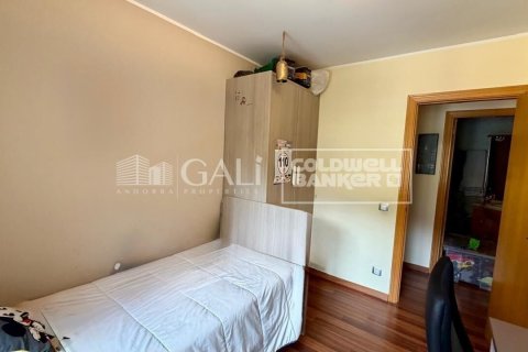 Apartment à vendre à Principado De Andorra (Ninguna Poblacion Tiene C.P.), Lleida, Espagne, 3 chambres, 80 m2 No. 178654 - photo 10