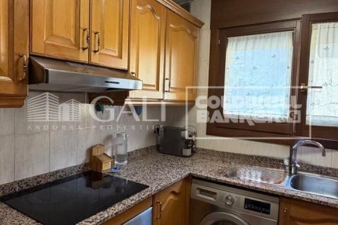 Apartment à vendre à Principado De Andorra (Ninguna Poblacion Tiene C.P.), Lleida, Espagne, 3 chambres, 80 m2 No. 178654 - photo 6