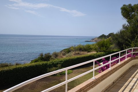 House zum Verkauf in L'Ametlla de Mar, Tarragona, Spanien 4 Schlafzimmer, 550 m2 Nr. 192202 - Foto 14