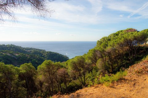 Land plot in Lloret de Mar, Girona, Spain 4 bedrooms, 871 sq.m. No. 186226