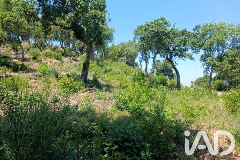 Tomt till salu i Lloret de Mar, Girona, Spanien 570 kvm. Nr. 194323 - foto 5