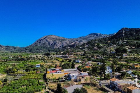 Lokal usługowy w Pego, Alicante, Hiszpania 1224 mkw. nr 173389 – zdjęcie 28