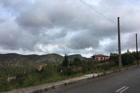Land plot for sale in Olivella, Barcelona, Spain No. 186538 - photo 7